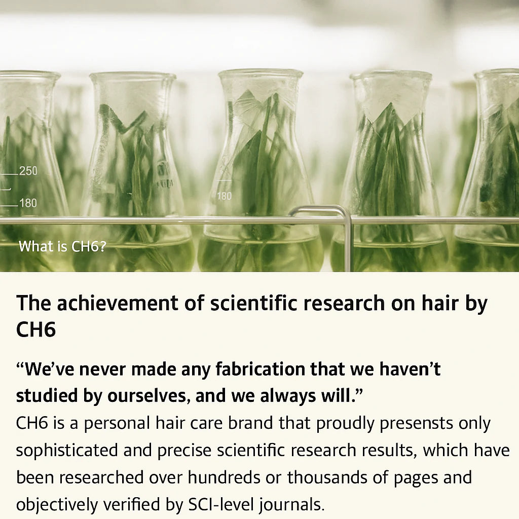 MegaMall™ | Kalwanji CH6 Shampoo